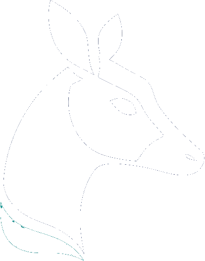 Okapi Technologies